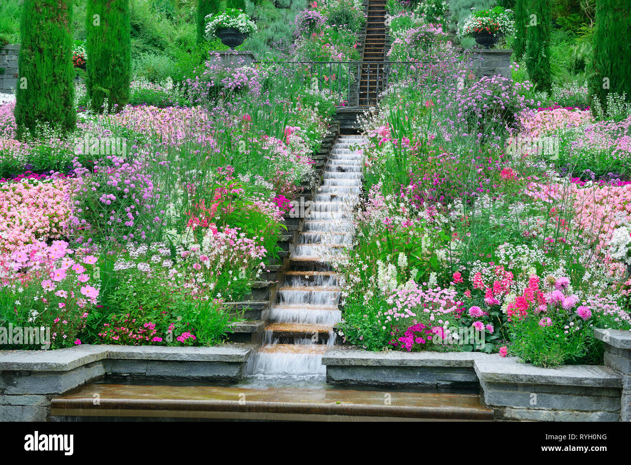 Waterfall flower hi-res stock photography and images - Alamy