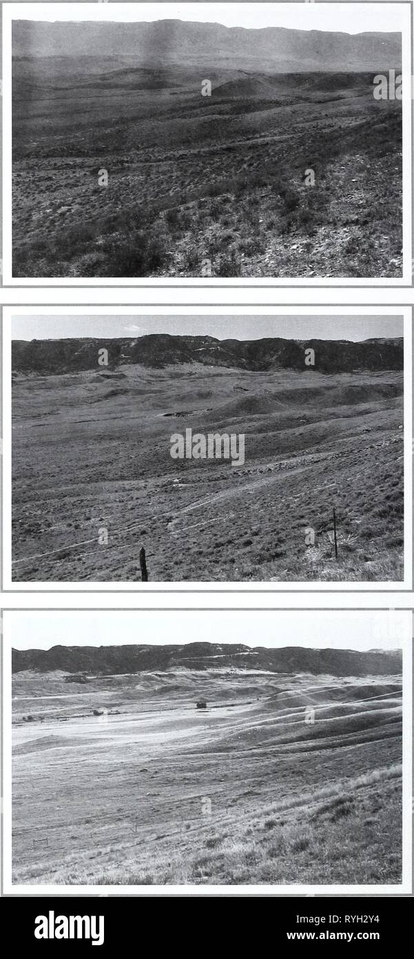Eighty years of vegetation and landscape changes in the Northern Great Plains : a photographic record  eightyyearsofveg45klem Year: 2001  Original Photograph August 21, 1916. Shantz N-2-1916. Facing south. First Retake and Description July 7, 1959. W.S.P., J-9-1959. The original picture has much Artemisia spp. and Koeleria cristata. In the retake the Artemisia has lessened and there is more grass covering. Koeleria cristata is abundant and also Stipa comata (from Phillips 1963, p. 157). Second Retake August 4, 1998. Kay-4360-5.    72 Stock Photo