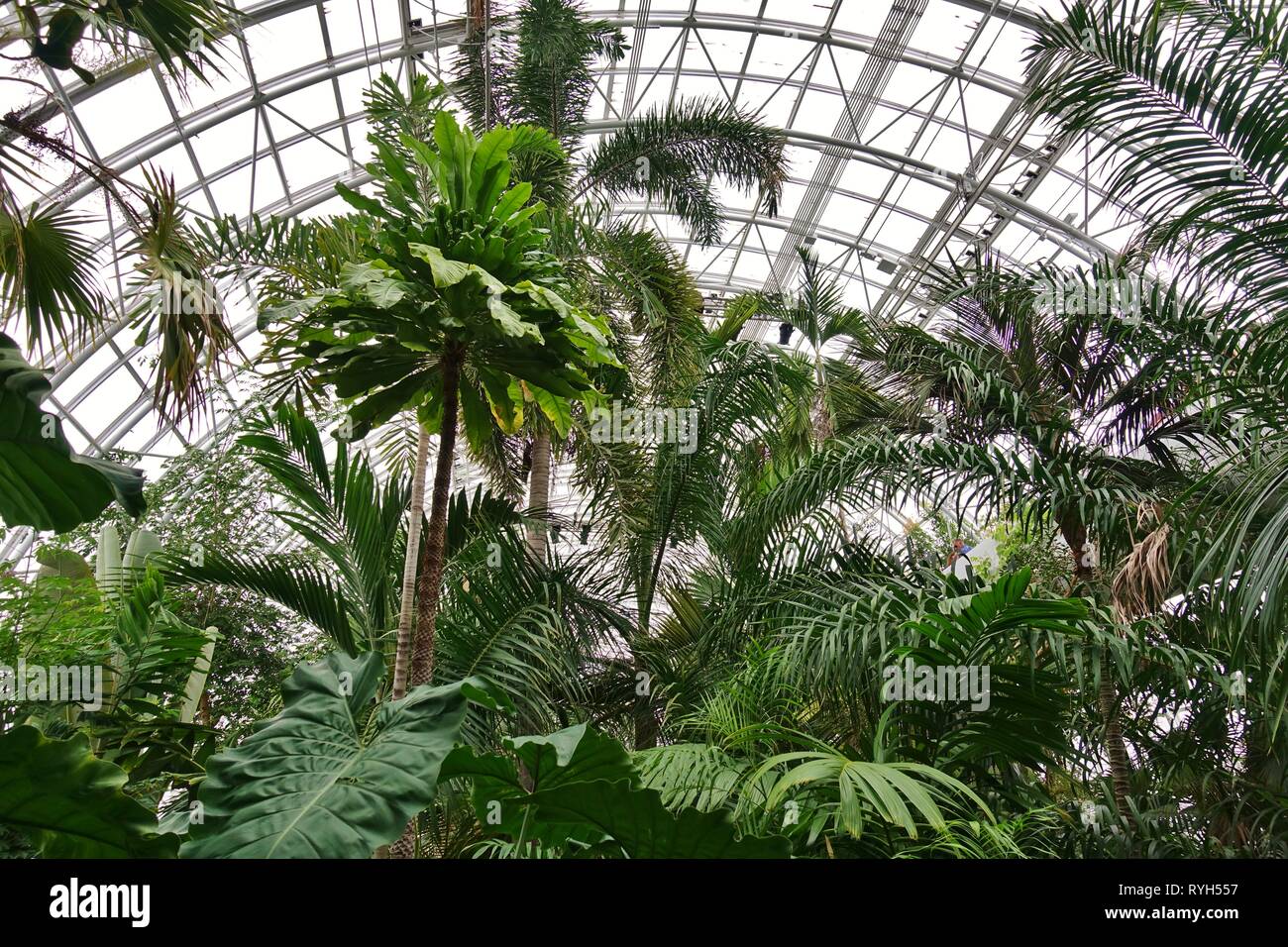 OKLAHOMA CITY, OK -2 MAR 2019- View of the Myriad Botanical Gardens, an ...