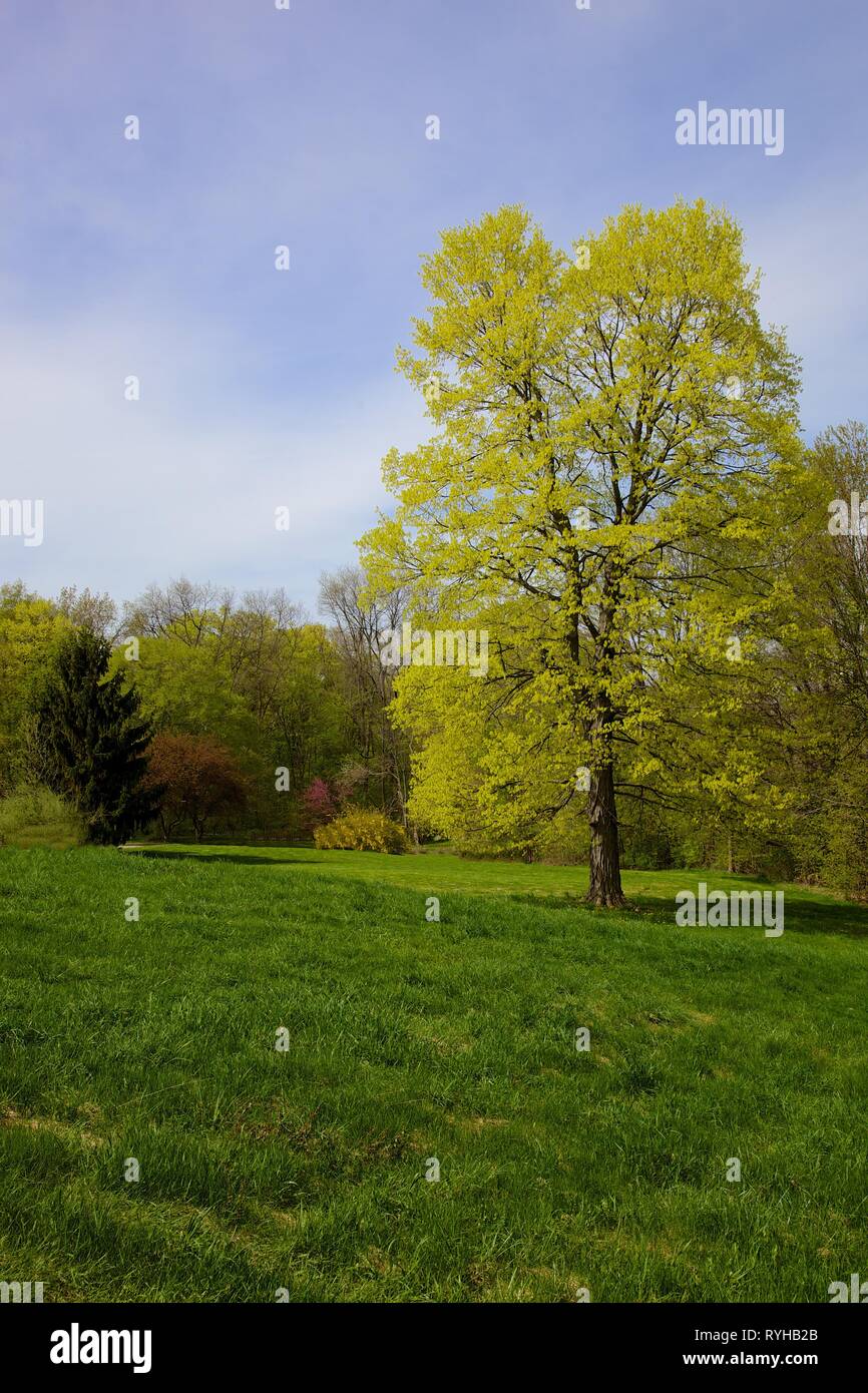 Same scene for four seasons hi-res stock photography and images - Alamy