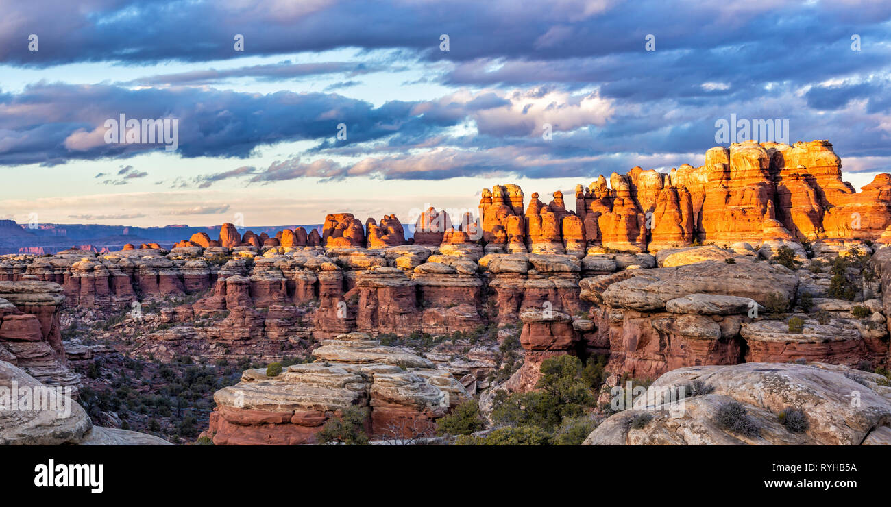 Moody clouds above colorful golden lit needles in Elephant Canyon in the Needles District of Canyonlands National Park. Stock Photo