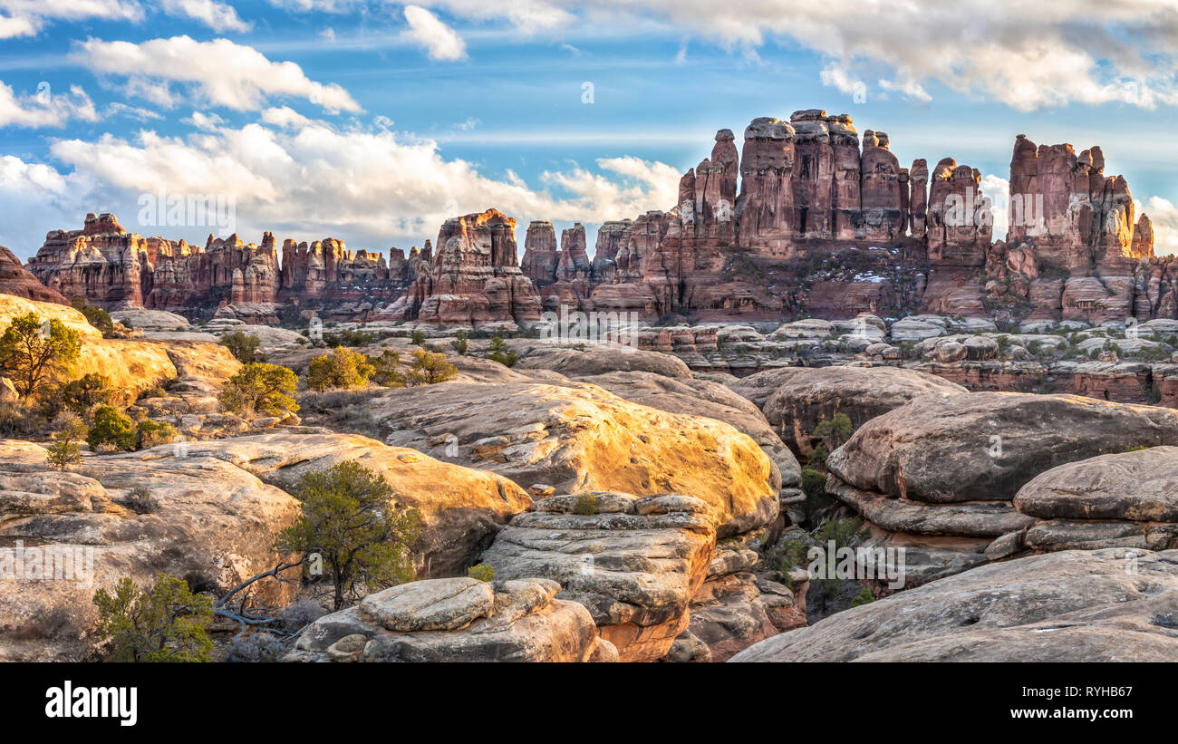 Tips of the needles in Elephant Canyon lit by the fading sun in the Needles District of Canyonlands National Park. Stock Photo