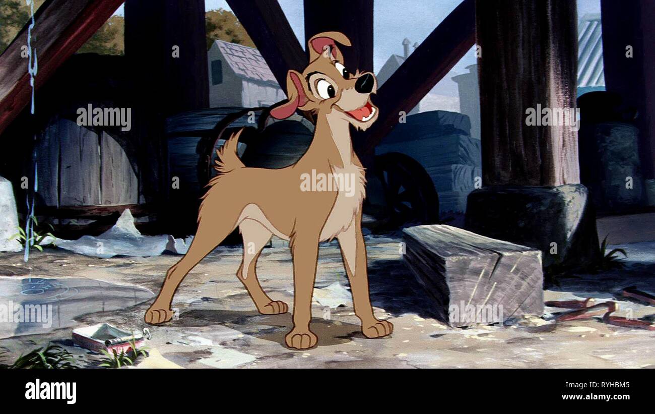 TRAMP, LADY AND THE TRAMP, 1955 Stock Photo