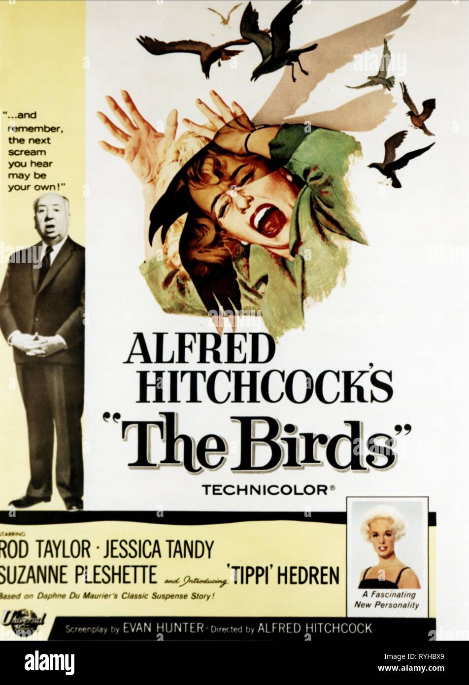 FILM POSTER, THE BIRDS, 1963 Stock Photo