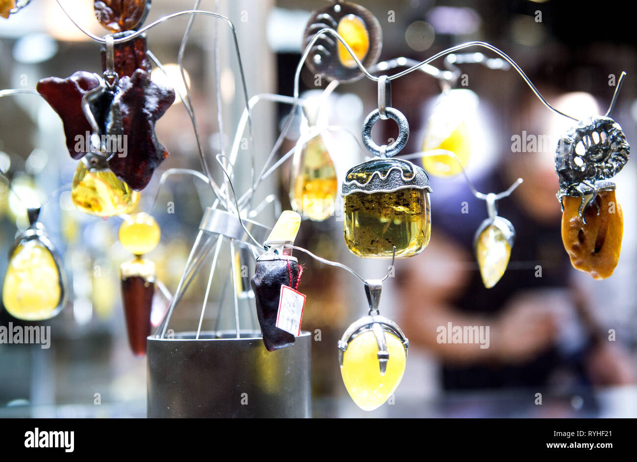 Live animal store keychains 2019