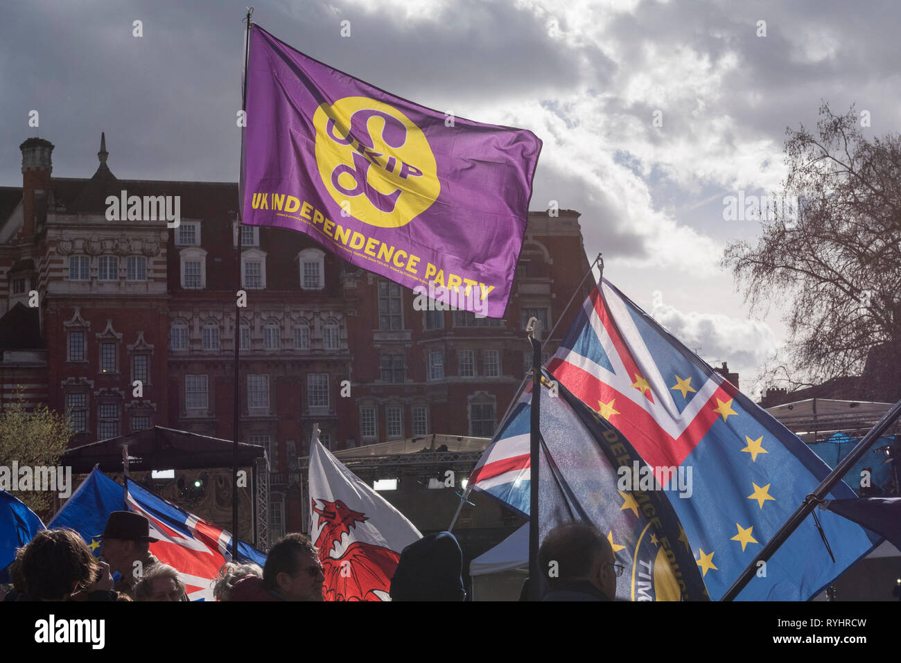 London, UK. 14th Mar, 2019. A UKIP flag flies above flags of other protesters in Westminster. MPs are due to vote on whether to delay the departure date for Brexit later today. Credit: Stephen Chung/Alamy Live News Stock Photo