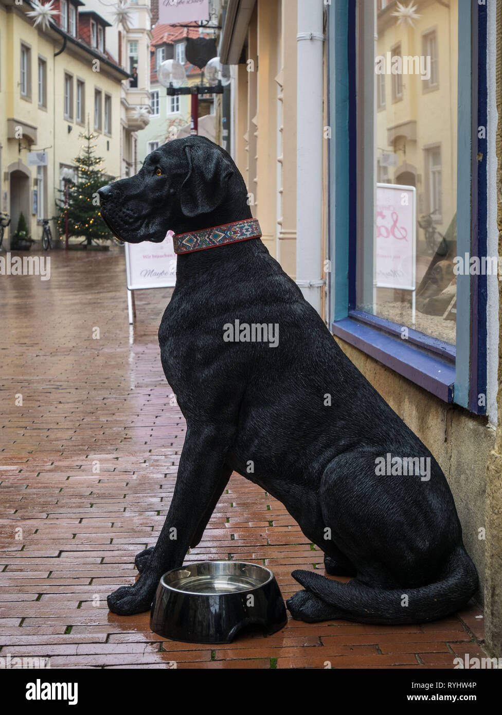 Puppet of a black Great Dane in front of a shop in the Old Town of Osnabrück, Germany Stock Photo