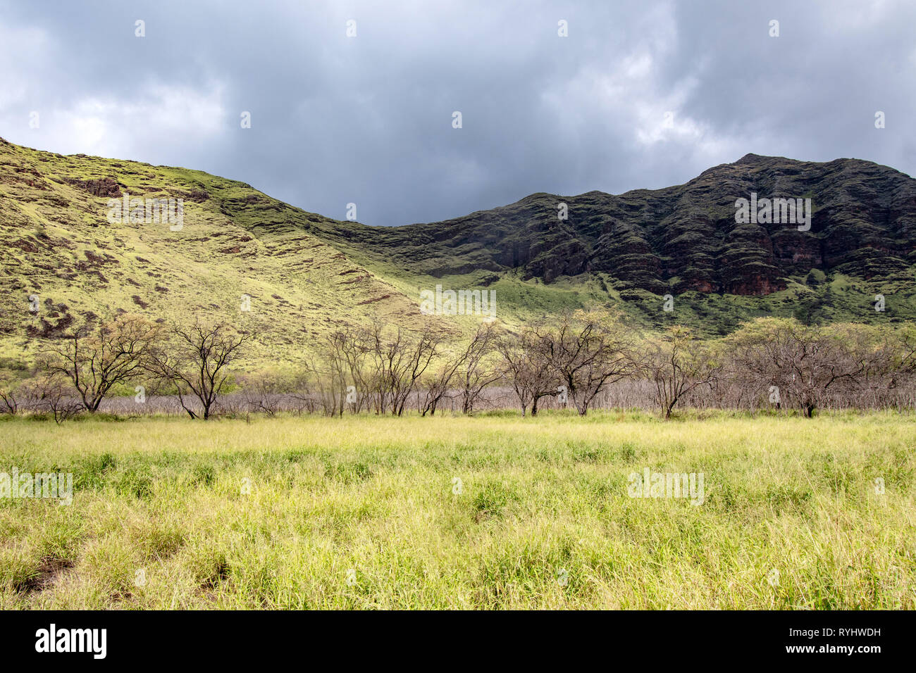 Hawaii Oahu Waianae Kai Forest Reserve mountains and clouds Stock Photo