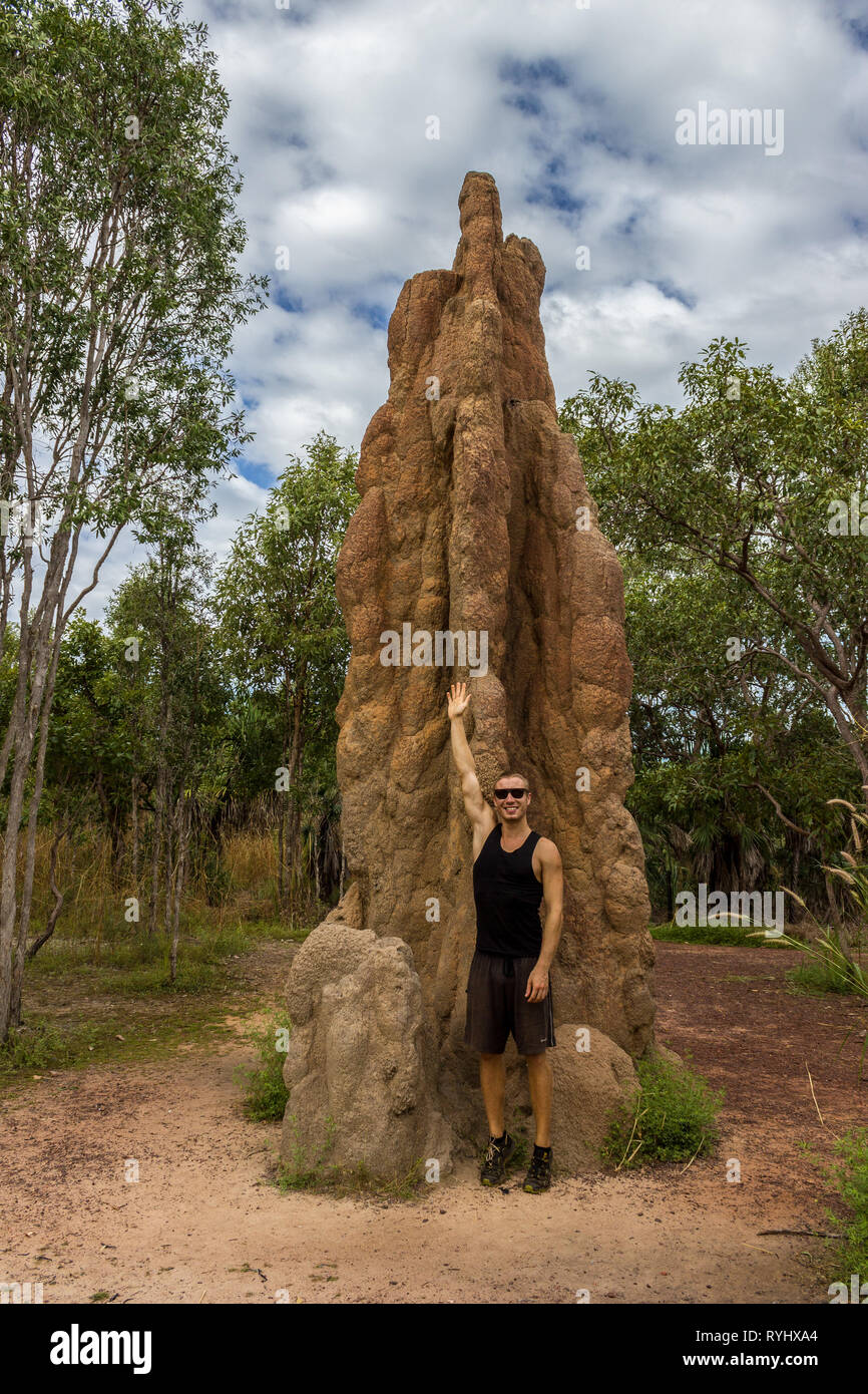 Magnetic termites hi-res stock photography and images - Alamy