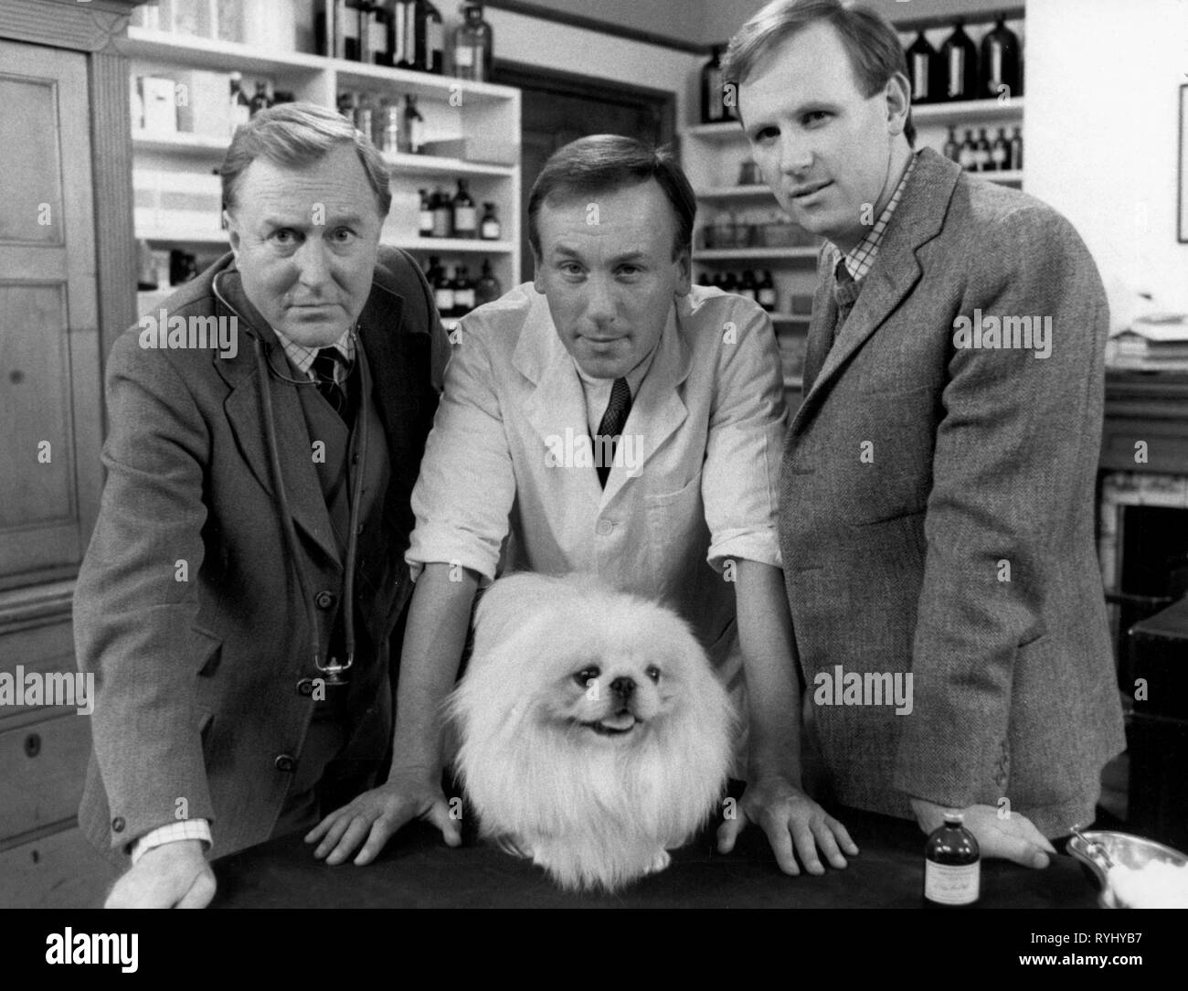 ROBERT HARDY, CHRISTOPHER TIMOTHY, PETER DAVISON, ALL CREATURES GREAT AND SMALL, 1978 Stock Photo