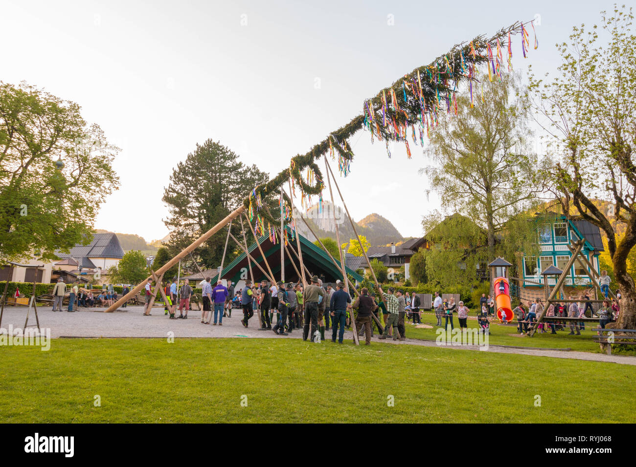 Maibaum tree hi-res stock photography and images - Alamy
