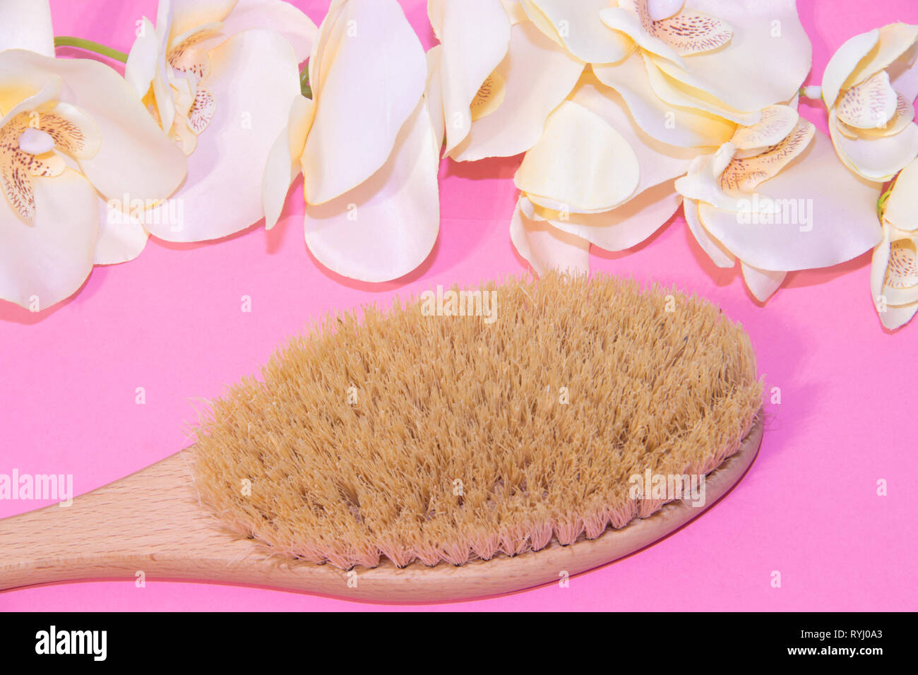 Brush for dry massage. New cosmetology. Getting rid of cellulite and
