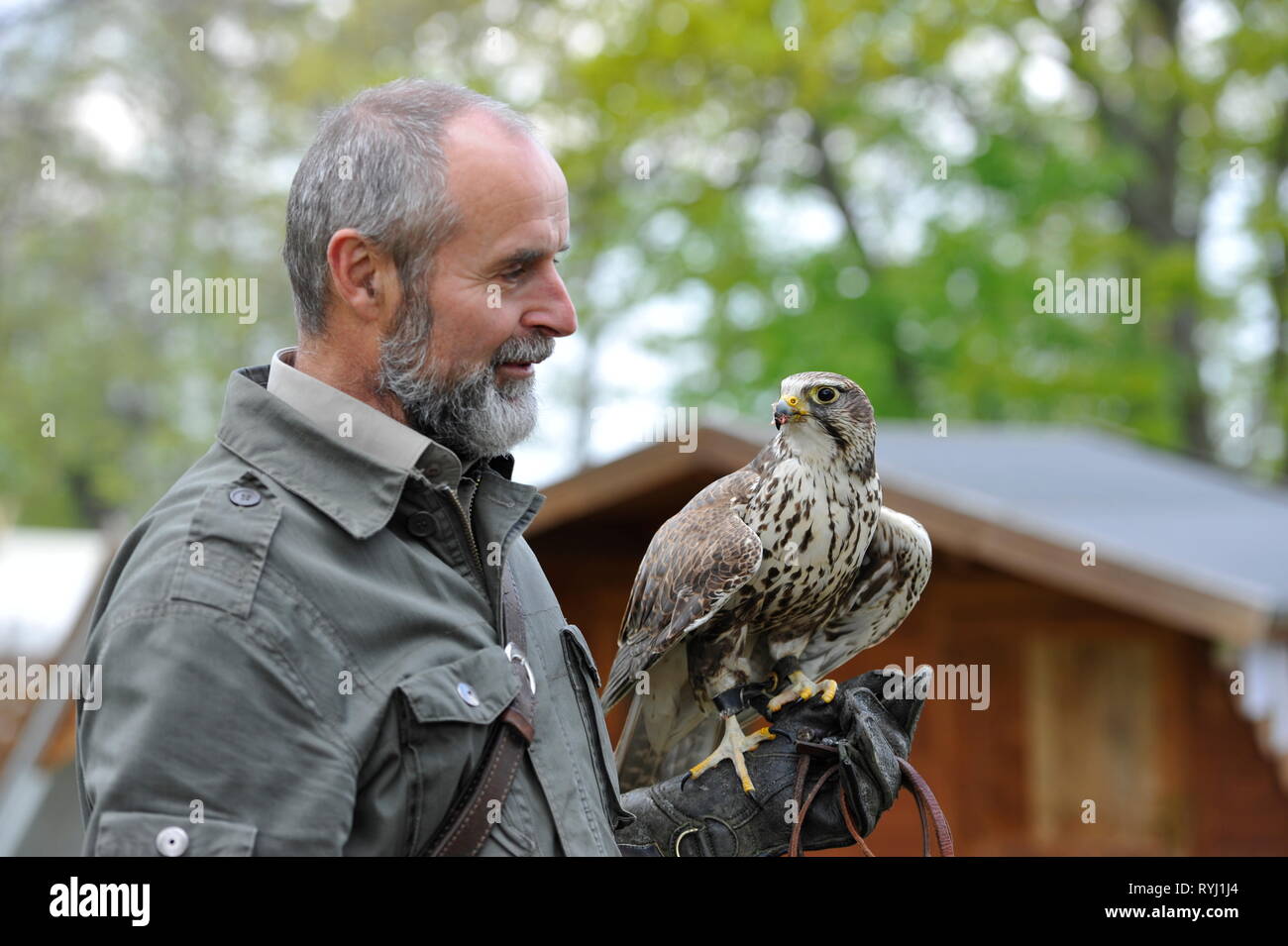 Hof hintergrund hires stock photography and images Alamy