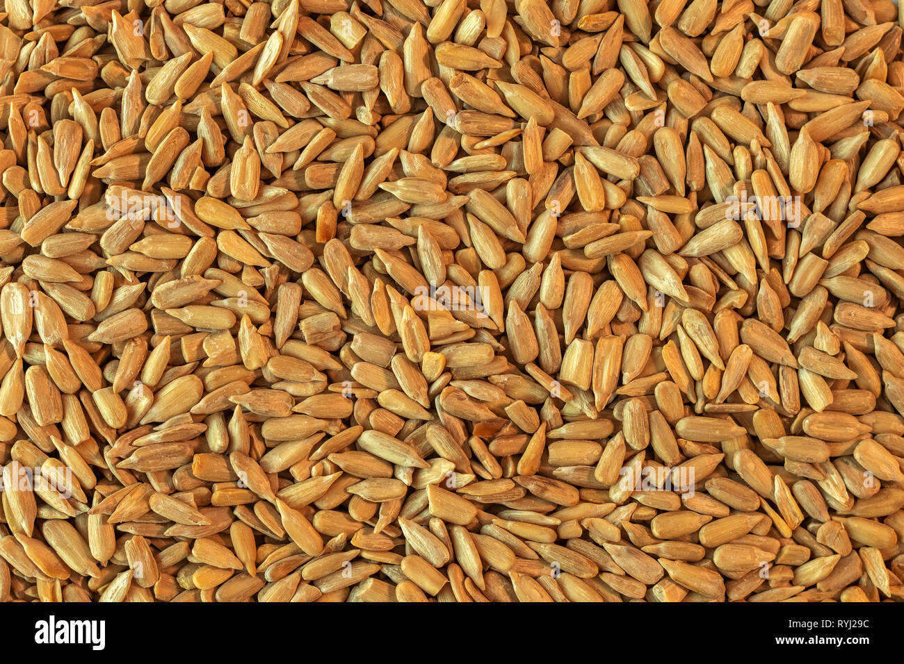 Hulled organic sunflower seed, top view as background Stock Photo
