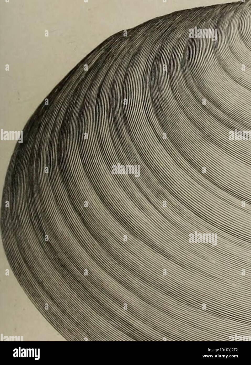 Edinburgh Encyclopedia Edinburghencyclo07brew Year 10 J U J Ft Mytu Its Axatinus Til 74 A Yj Ft N A 3 Ft 4 Ftfl G V I I A A A A F Lt 12 Stock Photo Alamy