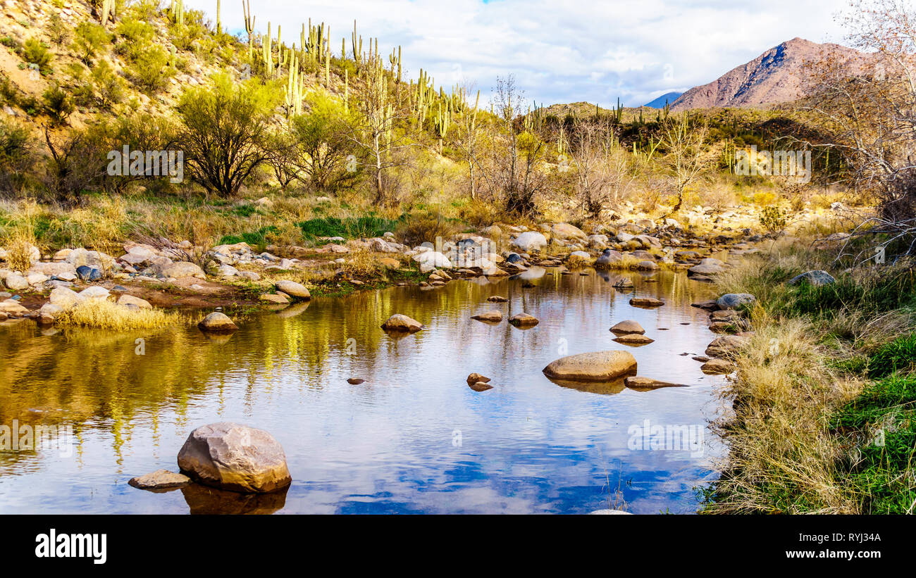 The almost dry Sycamore Creek in the McDowell Mountain Range in