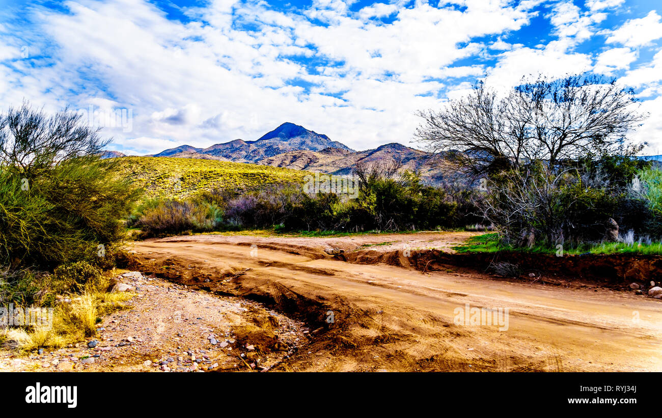Dirt road to Sycamore Creek in the McDowell Mountain Range in Northern Arizona at the Log Coral