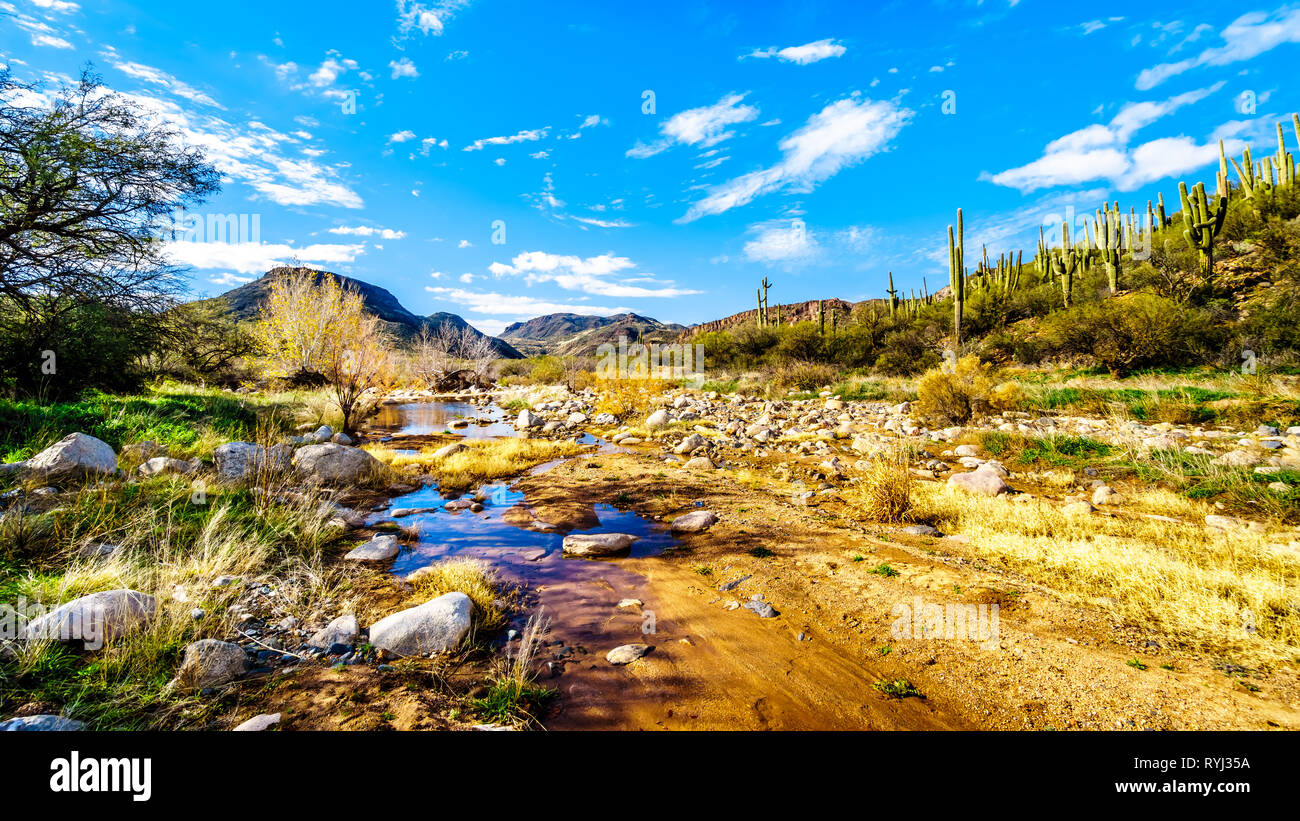 The wash national nature reserve hires stock photography and images