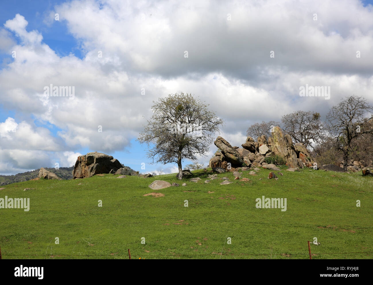 A Day in the Country Stock Photo - Alamy