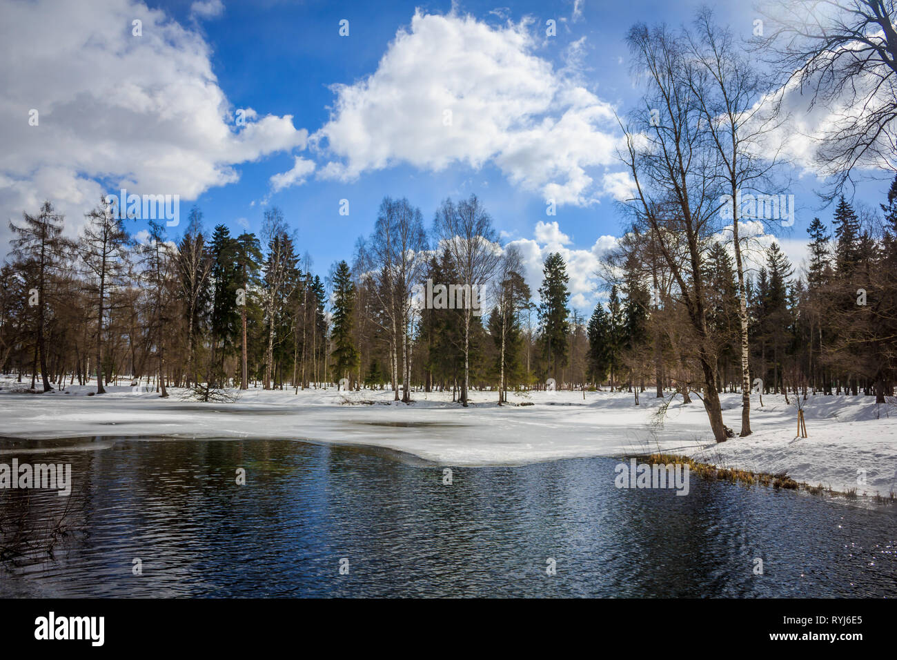 March park landscape. Sunny day in the spring park. The first days of ...