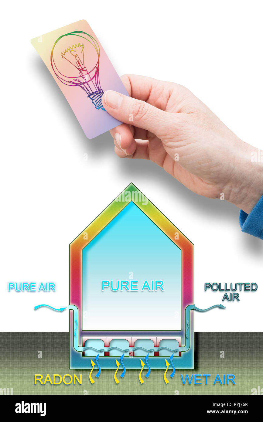 A professional hand holding a light bulb - An expert can solve the ...