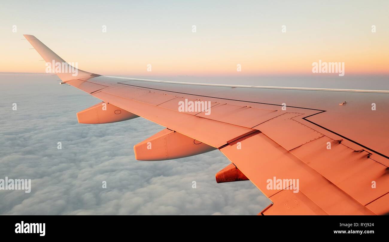 Plane's wing during the sunrise Stock Photo