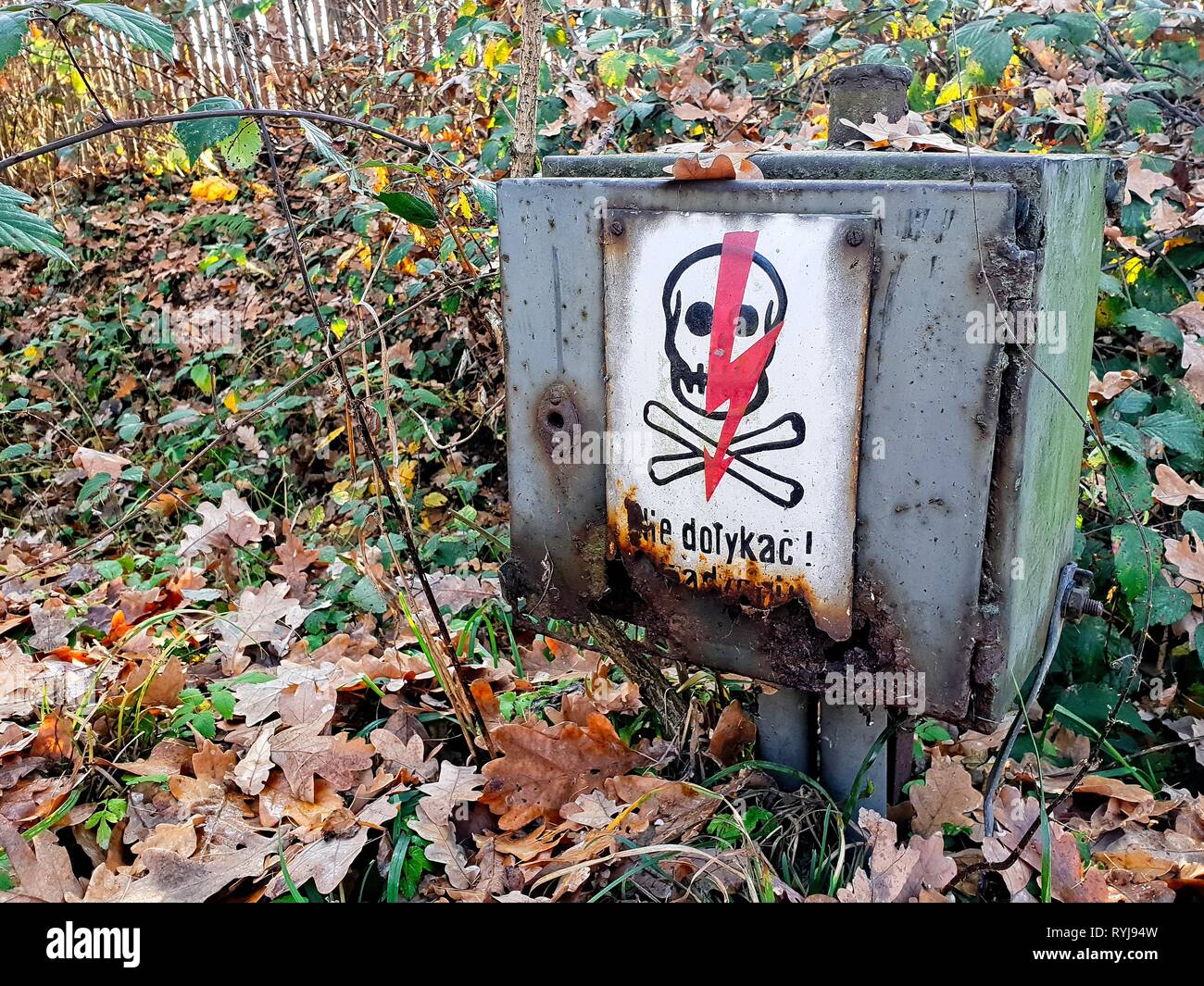 Old outdoor electric box with High Voltage Sign in the leaves Stock Photo