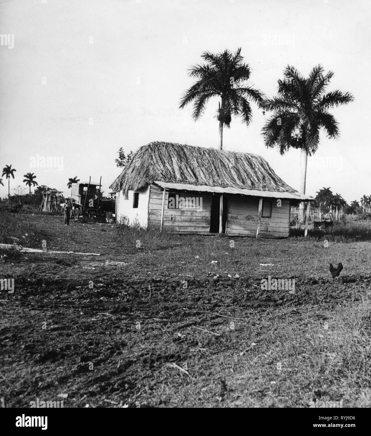 geography / travel, Cuba, architecture, peasant house, exterior view, circa 1950, Additional-Rights-Clearance-Info-Not-Available Stock Photo