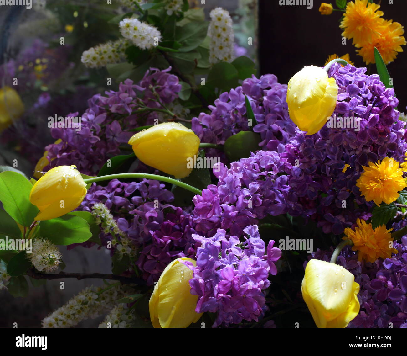 Still life with a bouquet of lilacs Stock Photo - Alamy