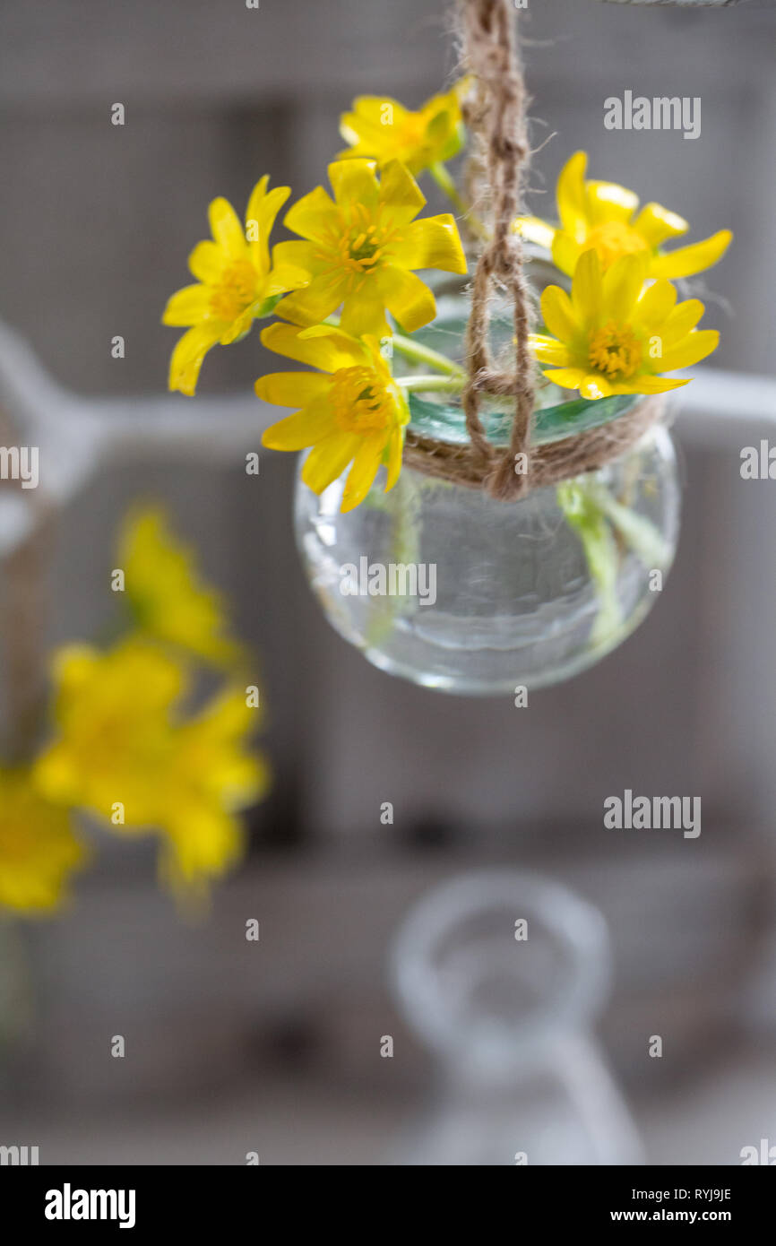 Download Yellow Flowers In Glass Pots Stock Photo Alamy PSD Mockup Templates