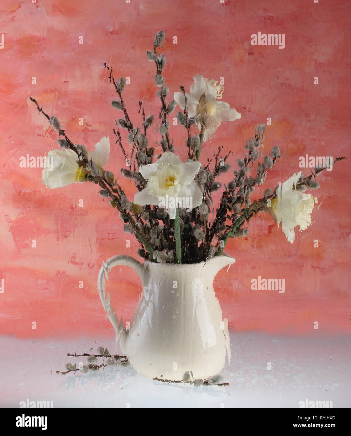 Still life with a bouquet of daffodils and willow Stock Photo - Alamy