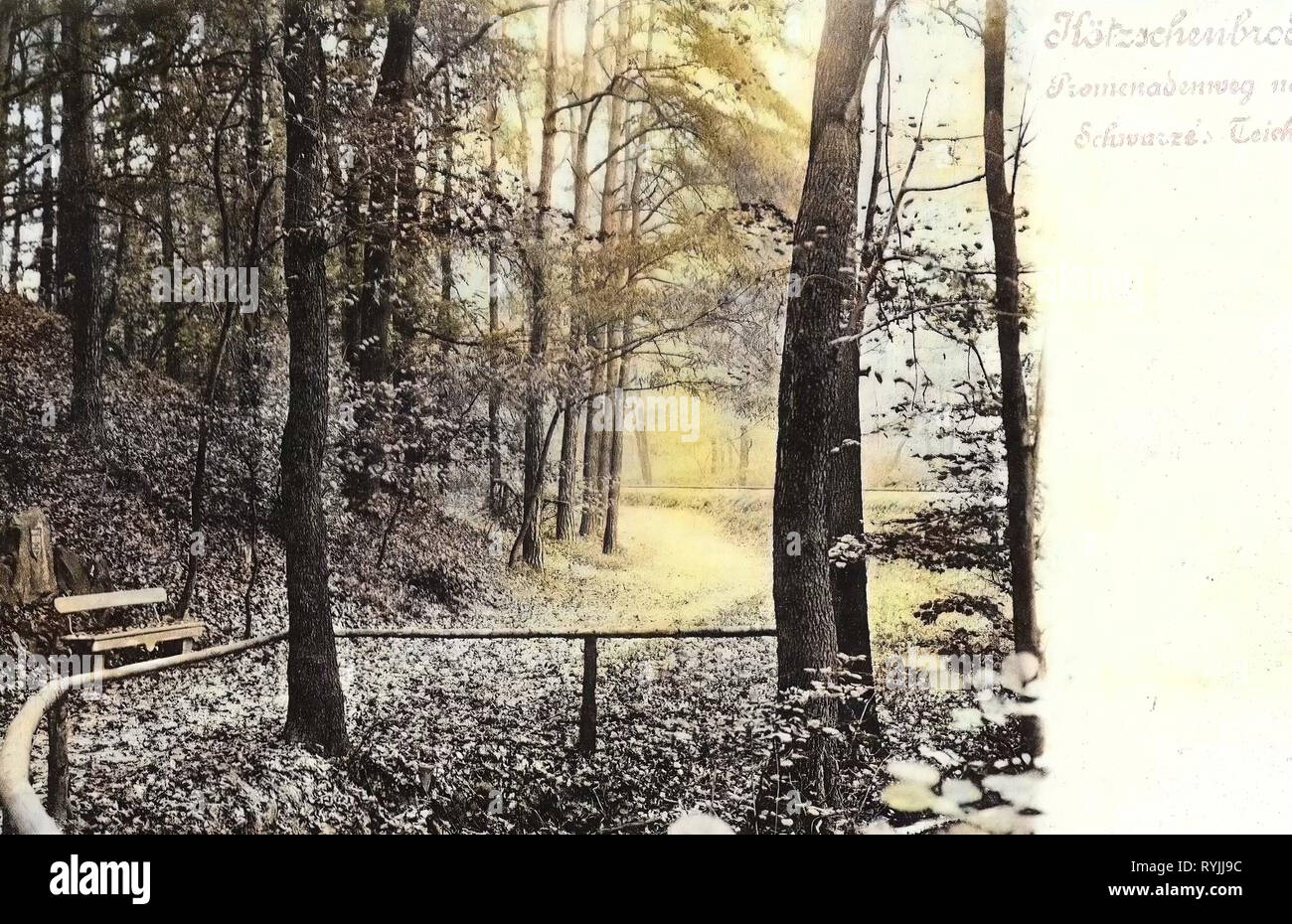 Forests in Saxony, Esplanades, Park benches in Germany, Hiking trails in Saxony, Lößnitzgrund, 1898, Landkreis Meißen, Kötzschenbroda, Promenadenweg nach Schwarzes Teich Stock Photo