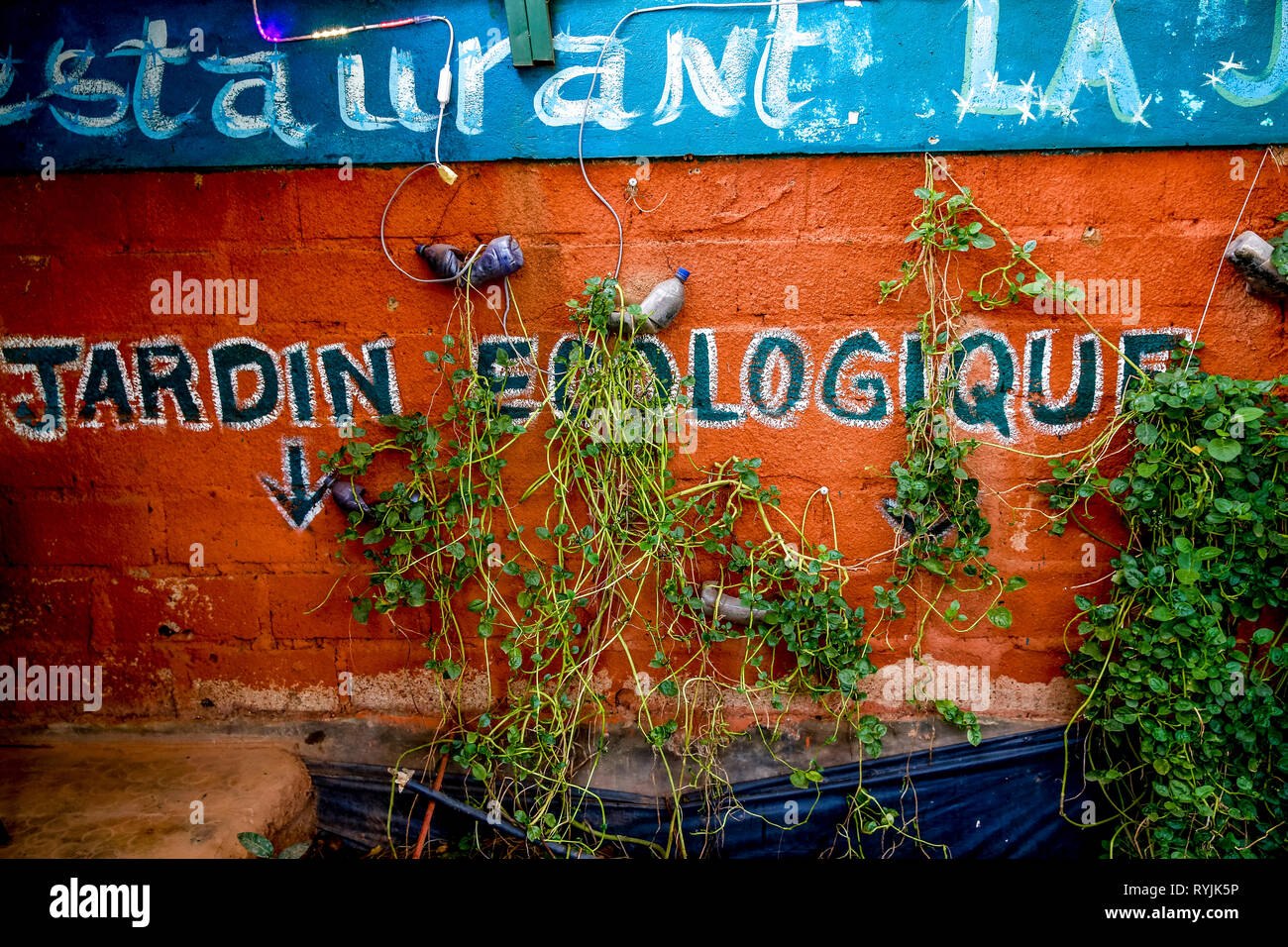 ICCV Nazemse NGO in Ouagadougou, Burkina Faso. Environmentally-friendly garden. Stock Photo