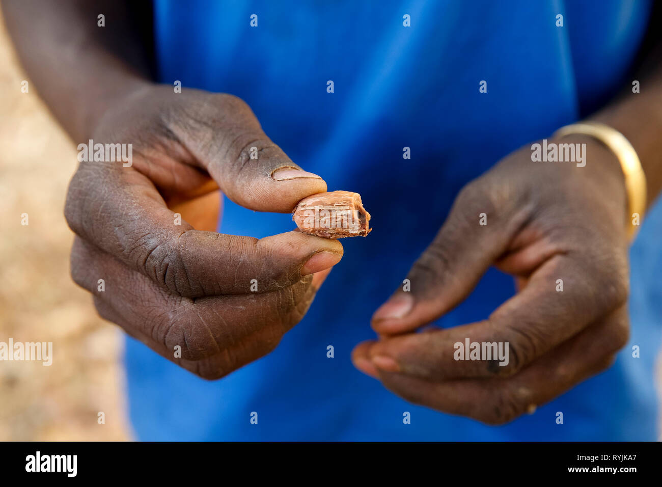 Man holding a shea nut in Ouahigouya, Burkina Faso. Stock Photo