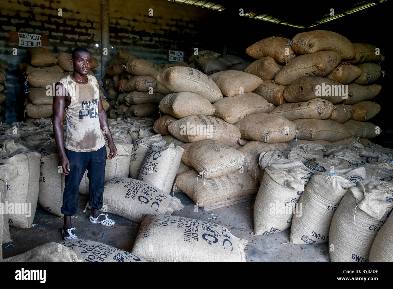 Cocoa worker standing in an Agboville warehouse, Ivory Coast. Stock Photo