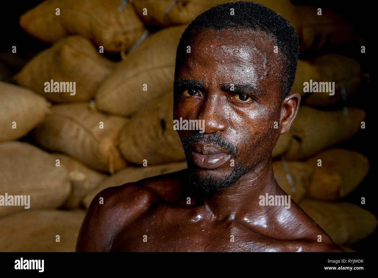 Cocoa worker in Agboville, Ivory Coast. Stock Photo