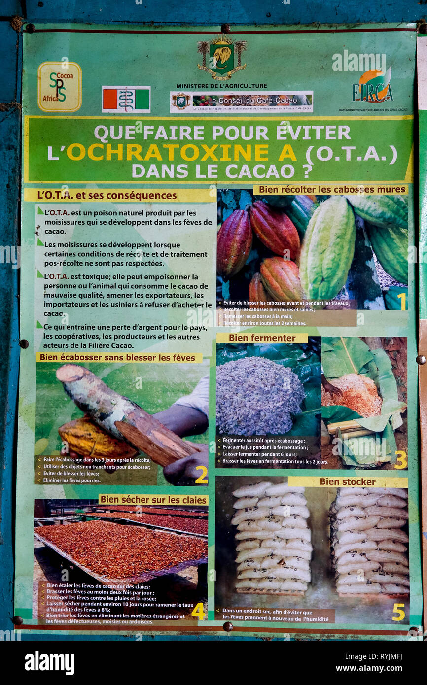 Poster offering advice (in French) on tree disease avoidance during cocoa production in Agboville, Ivory Coast. Stock Photo