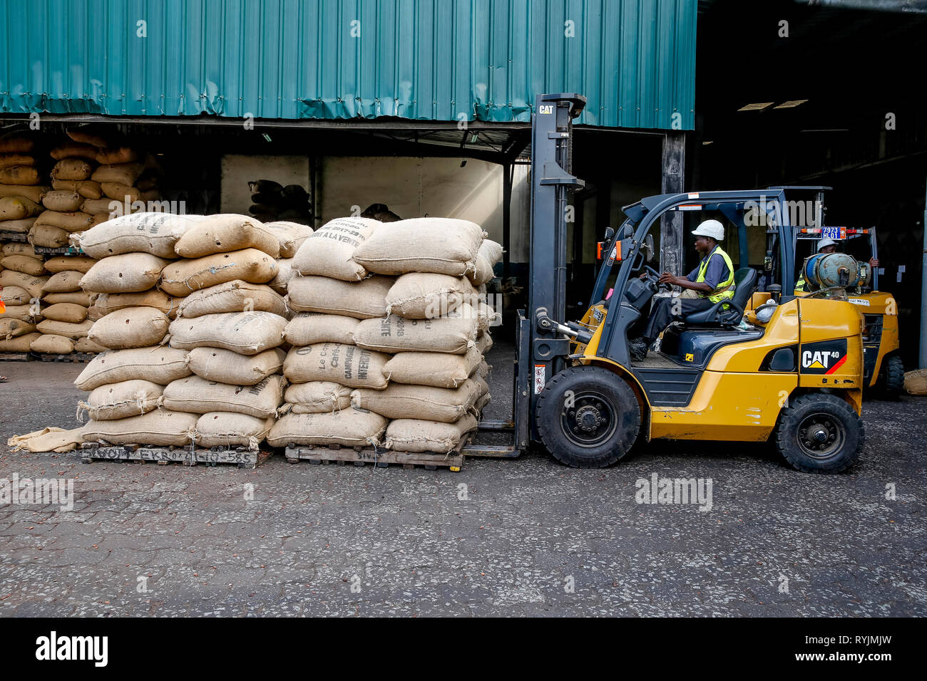 Handling sacks of cocoa at Abidjan port. Stock Photo