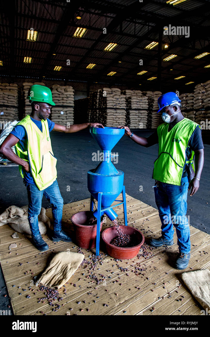Cocoa quality control at Abidjan port. Stock Photo