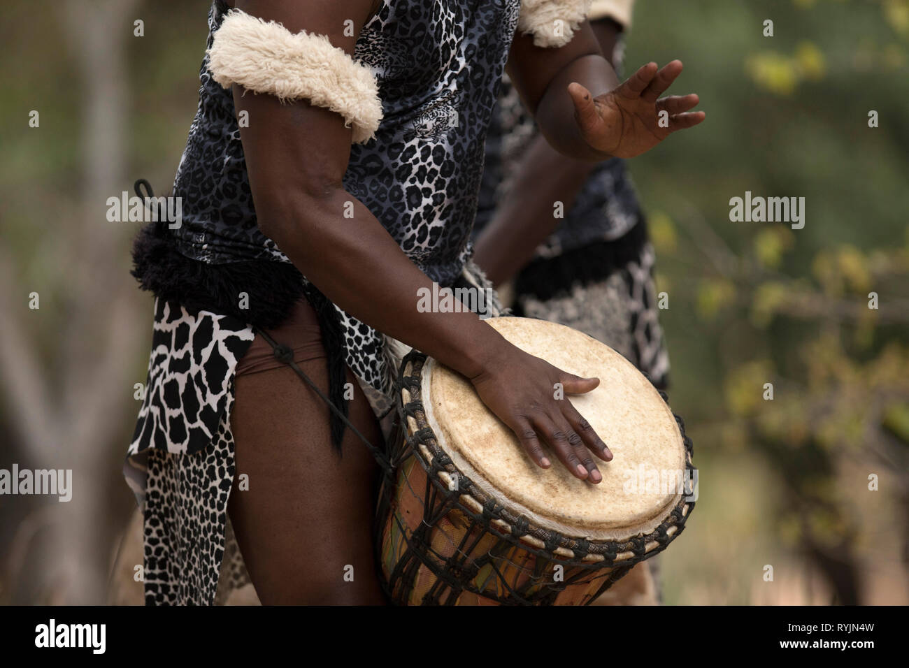African traditional djembe drummer. Kruger National Park. South-Africa. Stock Photo