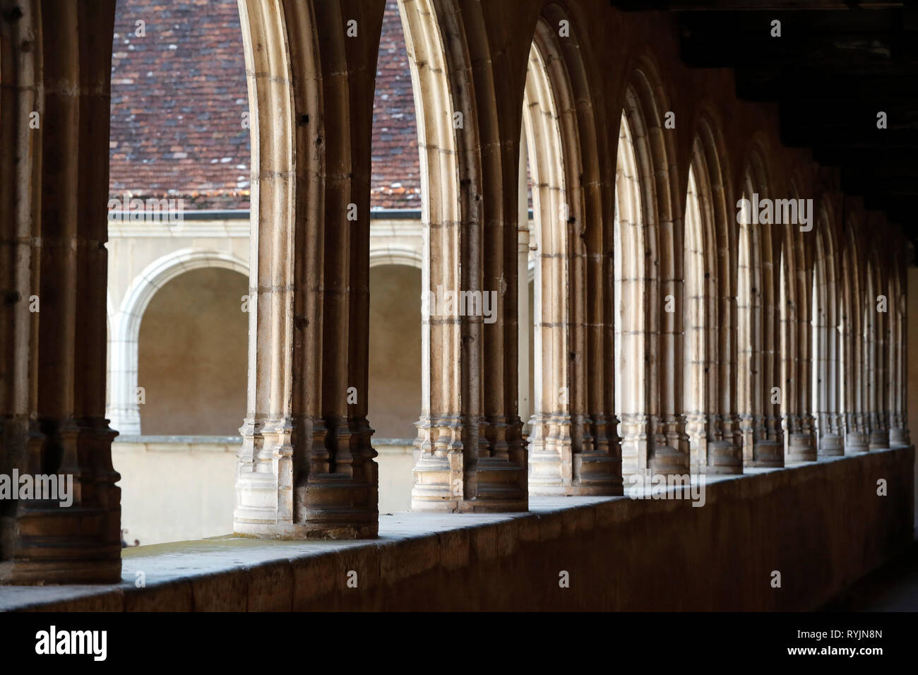 The royal monastery of Brou.  The cloisters ( gothic style). Bourg en Bresse. France. Stock Photo