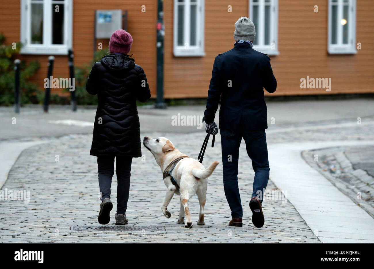 Couple walking on the street with the dog. Trondheim. Norway. Stock Photo