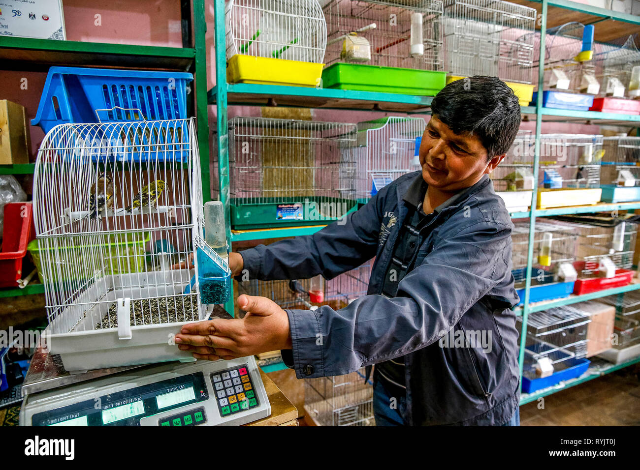 Jihad Abed Al-Aziz Shahatit received an interest-free U.S.$4000 loan from ACAD finance to extend and furnish his bird shop in Dura, West Bank, Palesti Stock Photo