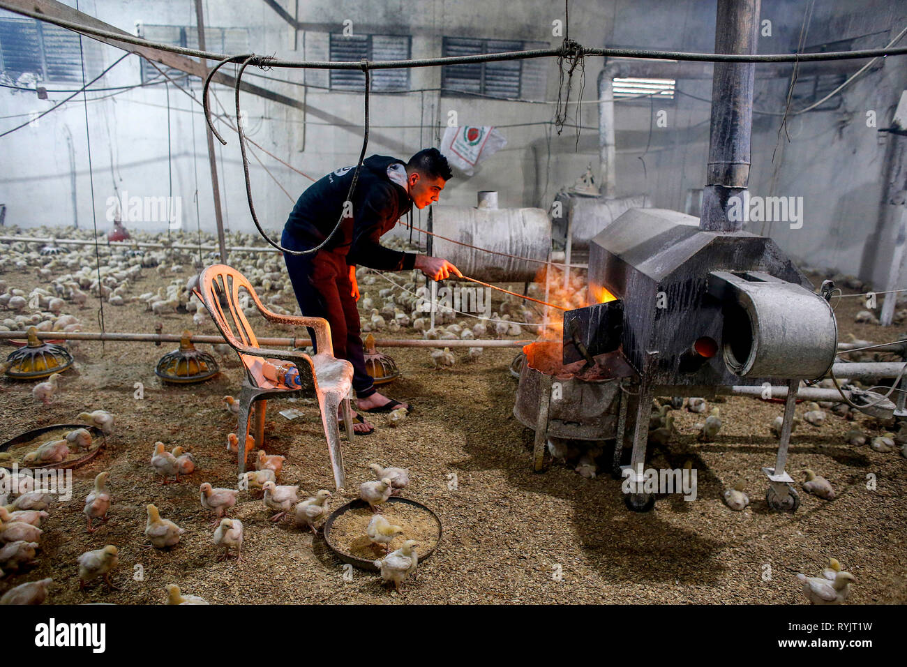 Qais Mahmoud Adel Mahmoud's heated poultry farm in Beit Imrine, West Bank, Palestine, financed by a loan from ACAD Finance. Stock Photo