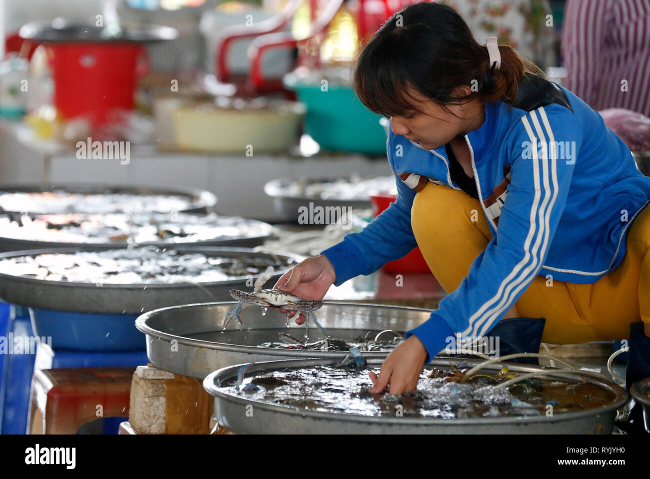 Fish market.  Ha Tien. Vietnam. Stock Photo