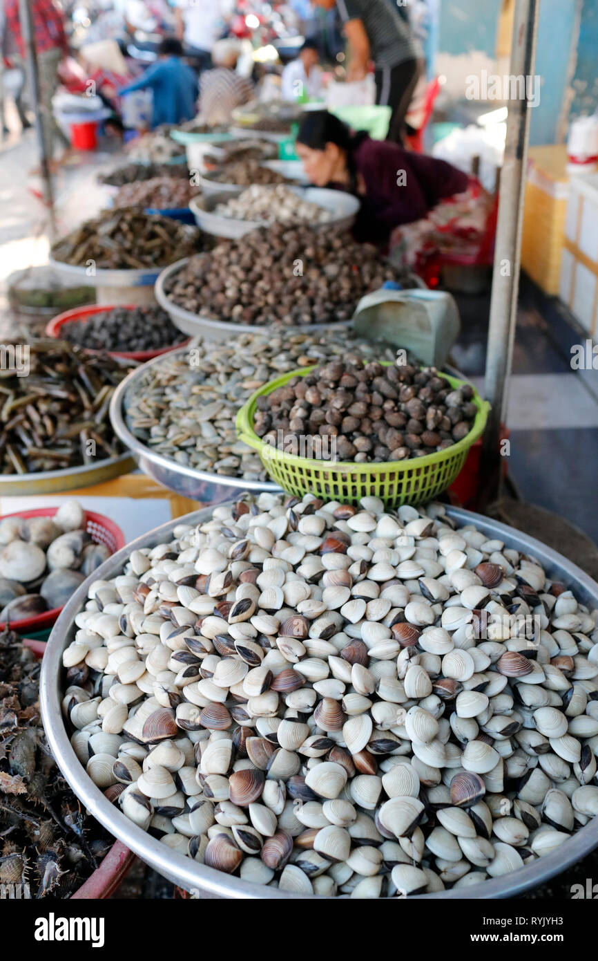 Fish market.  Fresh clams for sale. Ha Tien. Vietnam. Stock Photo
