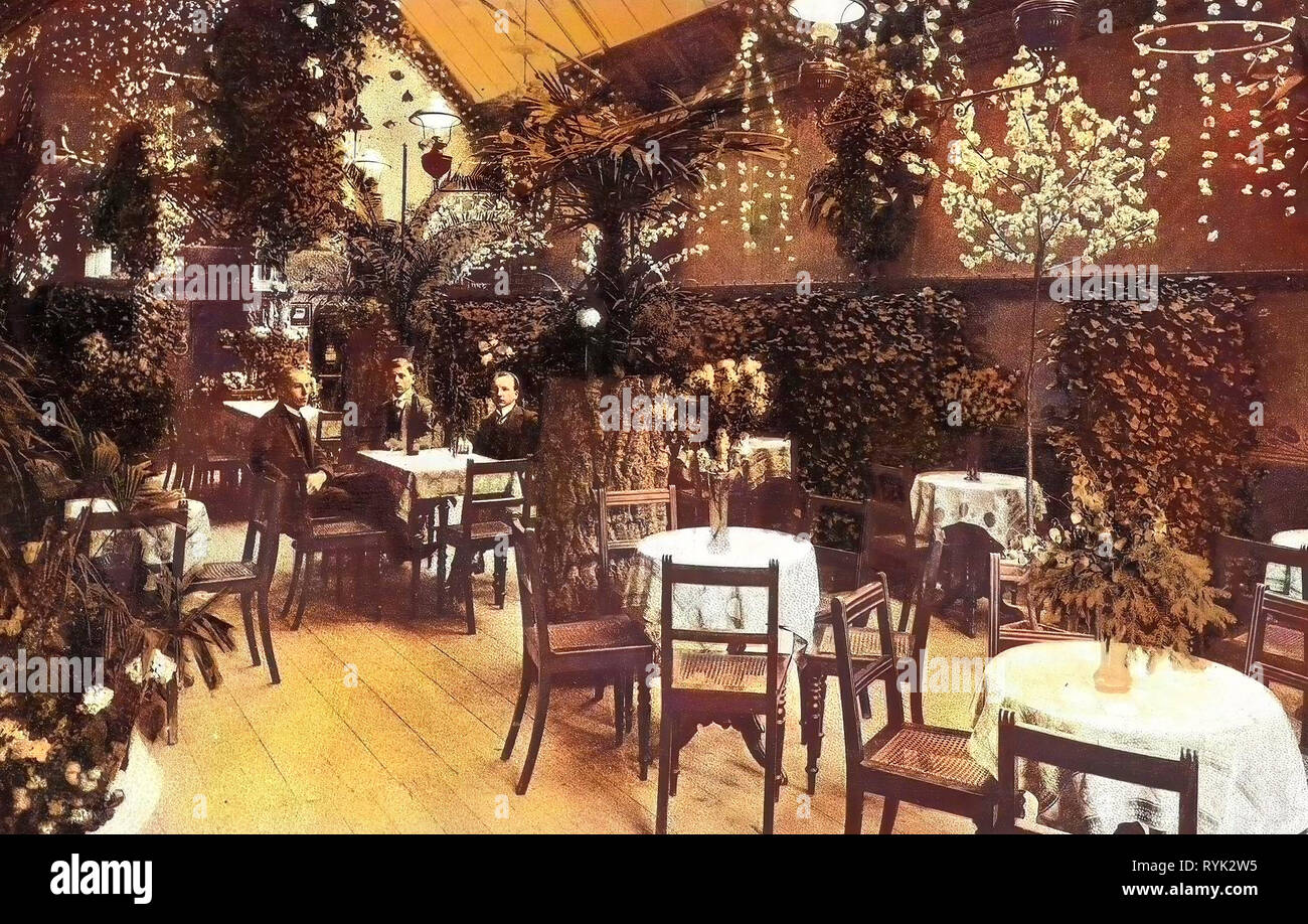 Winter gardens, Buildings in Hainichen, Dining rooms in Germany, Arecaceae in Germany, 1914, Landkreis Mittelsachsen, Hainichen, Wintergarten Stock Photo