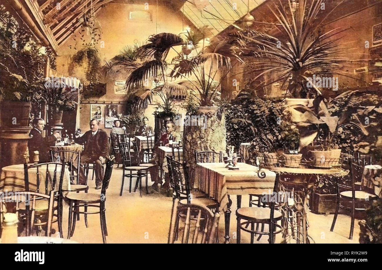 Arecaceae in Germany, Buildings in Hainichen, Dining rooms in Germany, Winter gardens, Restaurants in Landkreis Mittelsachsen, 1914, Landkreis Mittelsachsen, Hainichen, Wintergarten Stock Photo