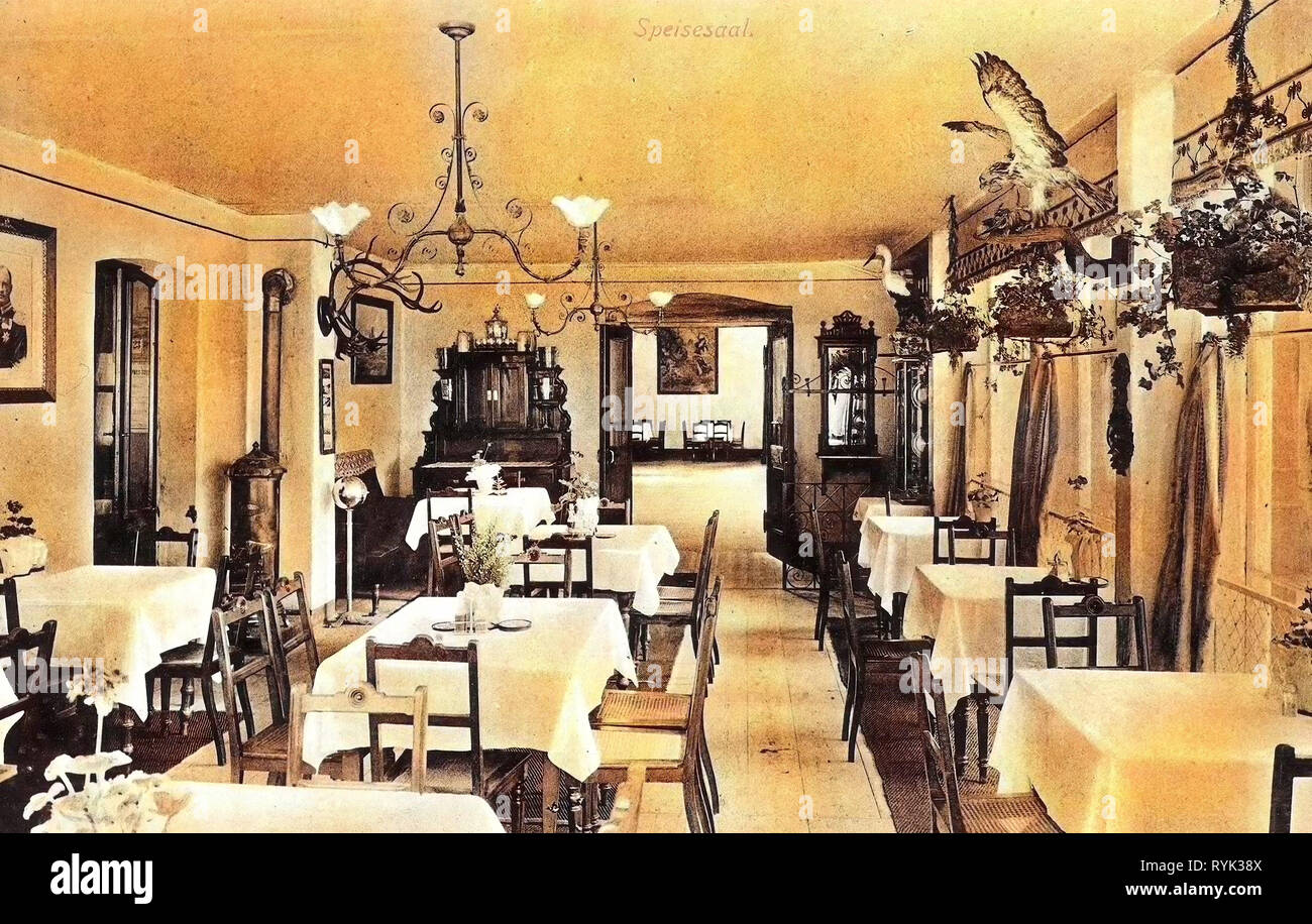 Hotels in Saxony, Dining rooms in Germany, Taxidermied Ciconia ciconia, Taxidermied Accipitriformes, Antlers, Stoves in Germany, Rectangular tables, Chairs in Germany, 1914, Landkreis Sächsische Schweiz-Osterzgebirge, 1910s interiors, Kipsdorf, Bahnhotel Zur Tellkoppe, Speisesaal Stock Photo