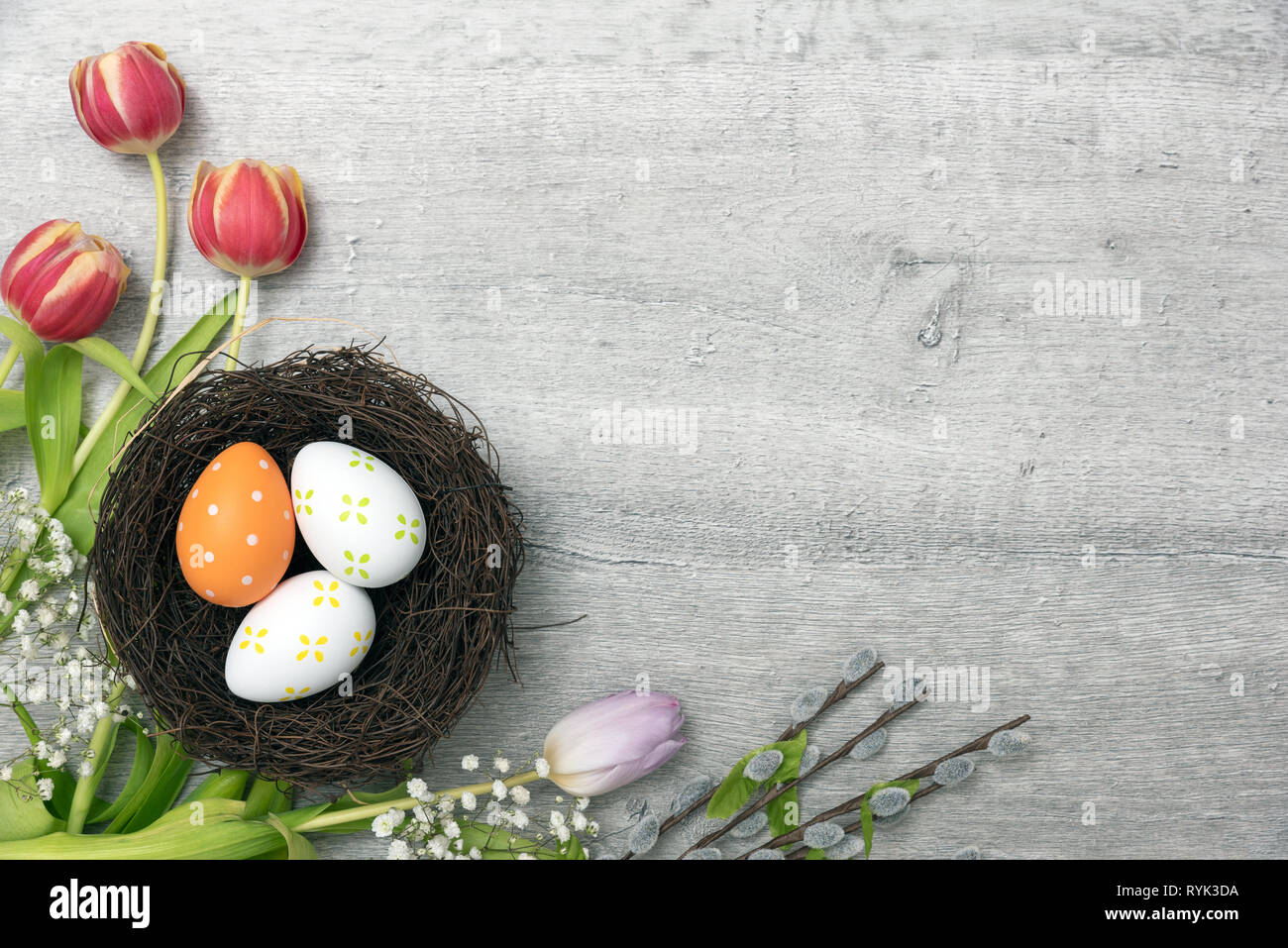 Easter eggs and spring flowers background. Top view with copy space ...